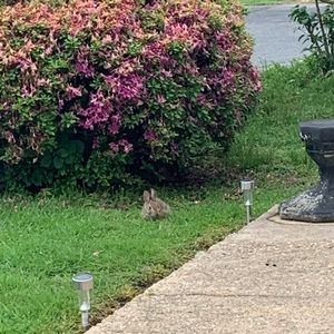 Meet your Posher, Kalvin